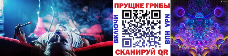 наркошоп  Москва  Галлюциногенные грибы Magic Shrooms 